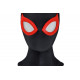 Marvel's Spider-Man 2 Evolve Suit Cosplay Jumpsuit