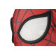 PS5 Spider-Man Miles Morales Great Responsibility Suit