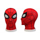 Spider-Man Homecoming Spiderman Peter Jumpsuit 3D Zentai